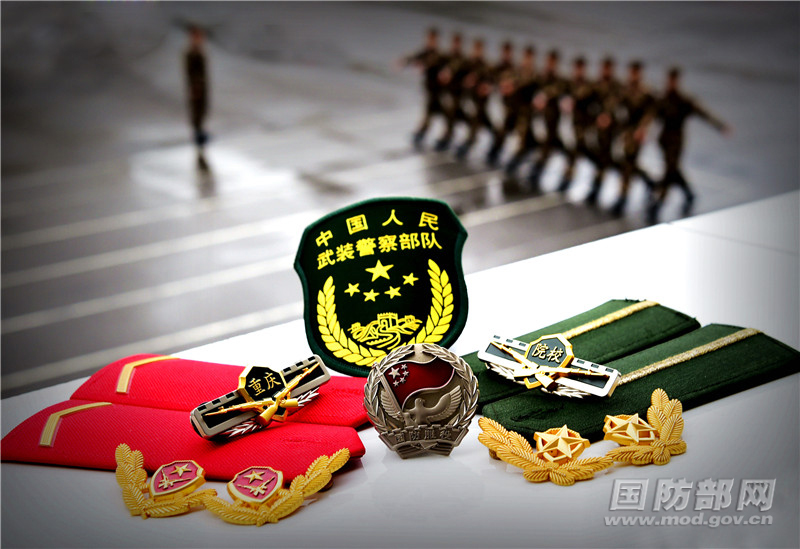 在武警重庆市总队新兵下连的分配仪式上,33名特殊的"新兵"摘下红肩章