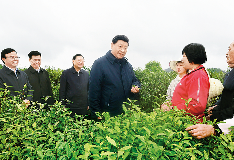 出社会以后-挂机方案习近平：在打好精准脱贫攻坚战座谈会上的发言挂机论坛(7)